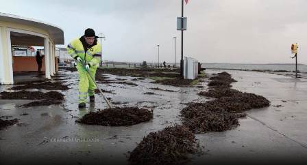 In His Own Mind, Council Worker Cleaning Up After Storm Playing Vital Role In Search & Rescue Operations