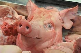 Dead Pig’s Brain To Break Its Silence On David Cameron Initiation Ritual