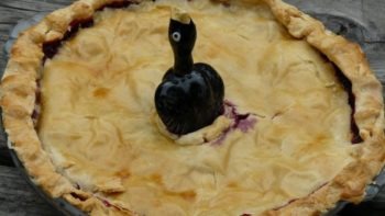 Student Who Made Mockingbird Pie ‘In Honour of Harper Lee’, Admits He Never Read The Book